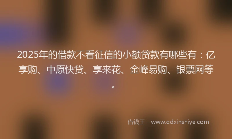 2025年的借款不看征信的小额贷款有哪些有：亿享购、中原快贷、享来花、金峰易购、银票网等。