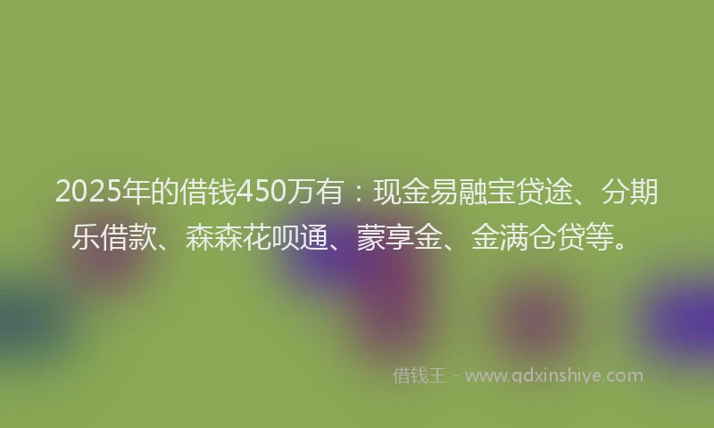 2025年的借钱450万有：现金易融宝贷途、分期乐借款、森森花呗通、蒙享金、金满仓贷等。