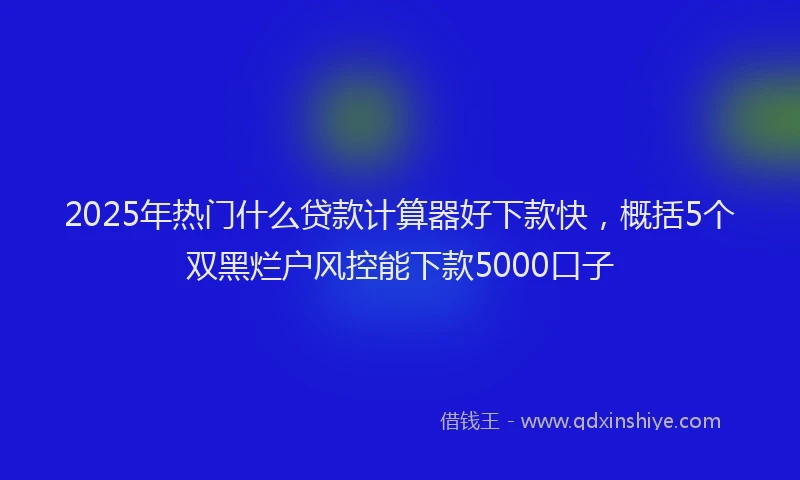 2025年热门什么贷款计算器好下款快，概括5个双黑烂户风控能下款5000口子