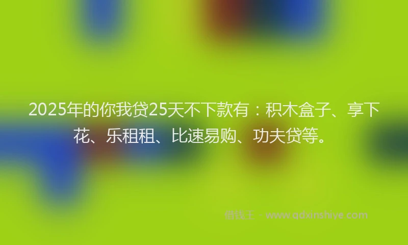 2025年的你我贷25天不下款有：积木盒子、享下花、乐租租、比速易购、功夫贷等。