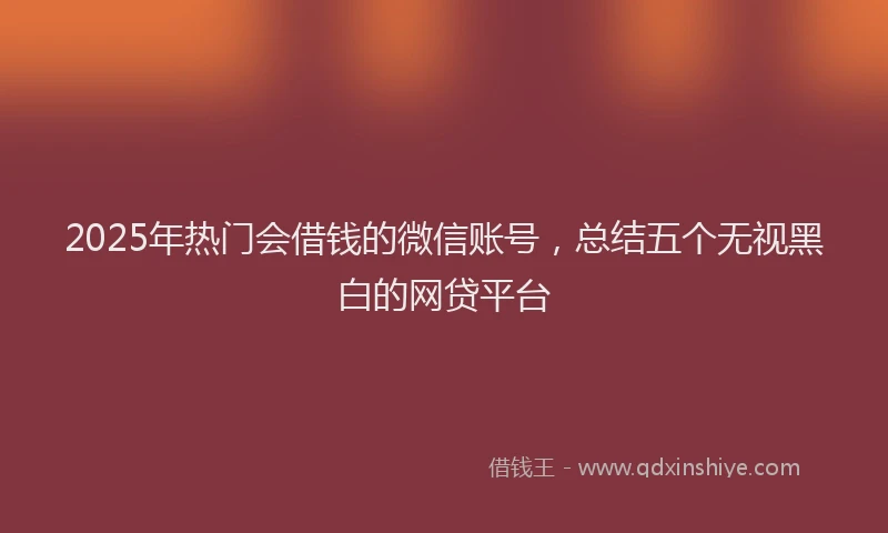 2025年热门会借钱的微信账号，总结五个无视黑白的网贷平台