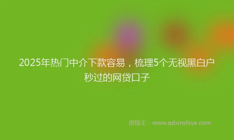 2025年热门中介下款容易，梳理5个无视黑白户秒过的网贷口子