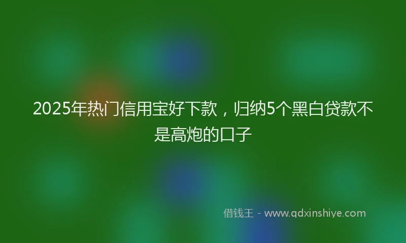 2025年热门信用宝好下款，归纳5个黑白贷款不是高炮的口子