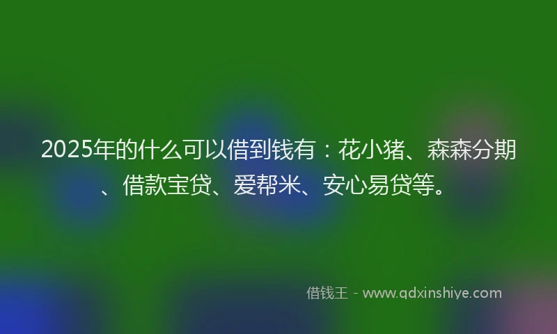 2025年的什么可以借到钱有：花小猪、森森分期、借款宝贷、爱帮米、安心易贷等。