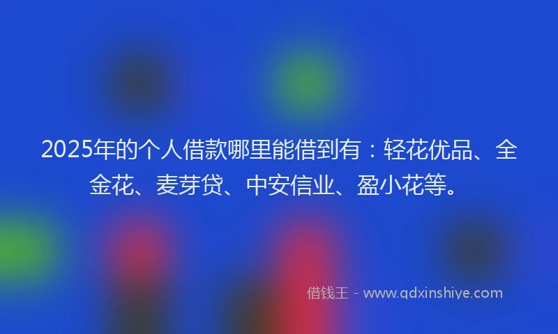 2025年的个人借款哪里能借到有：轻花优品、全金花、麦芽贷、中安信业、盈小花等。