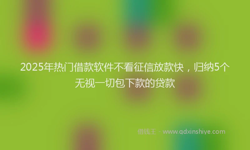 2025年热门借款软件不看征信放款快，归纳5个无视一切包下款的贷款