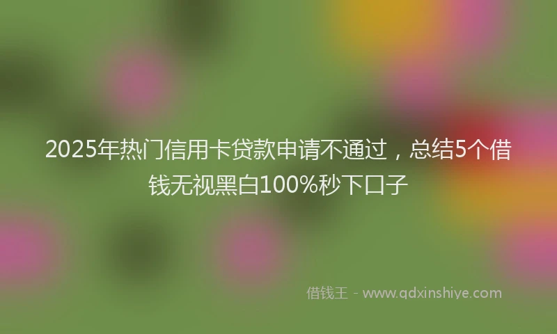 2025年热门信用卡贷款申请不通过，总结5个借钱无视黑白100%秒下口子