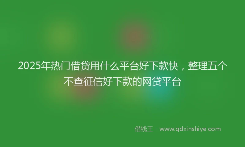 2025年热门借贷用什么平台好下款快，整理五个不查征信好下款的网贷平台