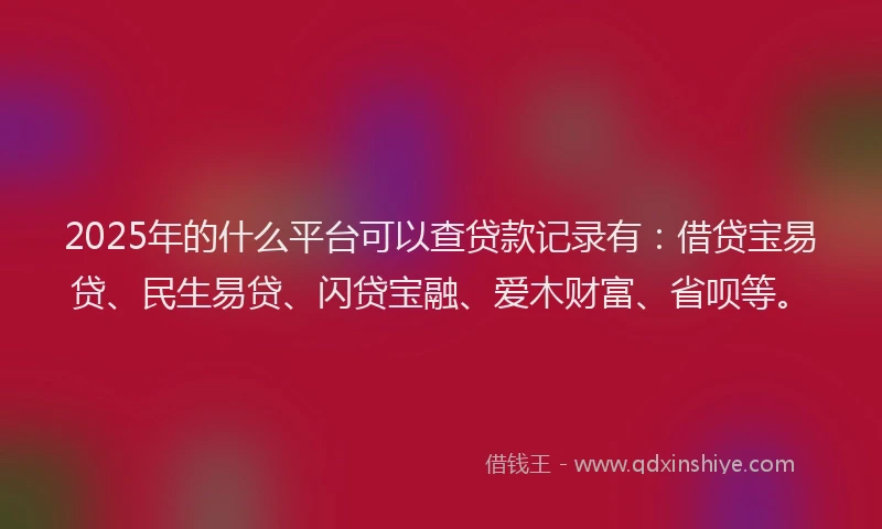 2025年的什么平台可以查贷款记录有：借贷宝易贷、民生易贷、闪贷宝融、爱木财富、省呗等。