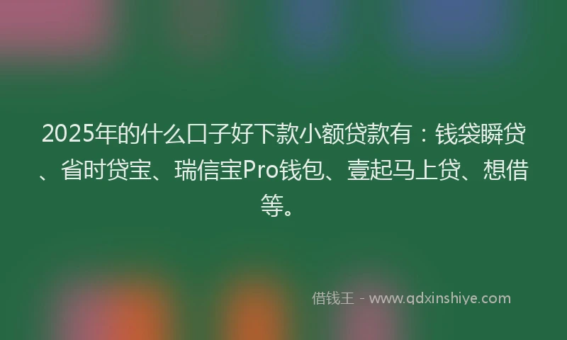 2025年的什么口子好下款小额贷款有：钱袋瞬贷、省时贷宝、瑞信宝Pro钱包、壹起马上贷、想借等。