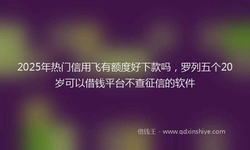 2025年热门信用飞有额度好下款吗，罗列五个20岁可以借钱平台不查征信的软件