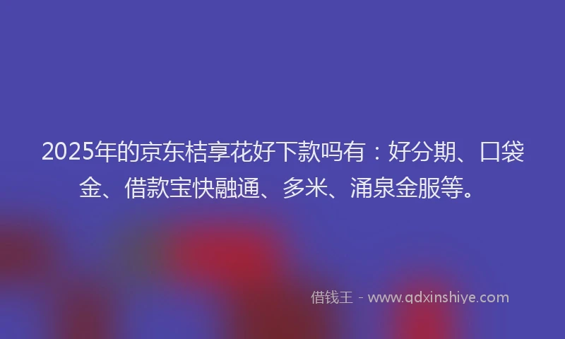 2025年的京东桔享花好下款吗有：好分期、口袋金、借款宝快融通、多米、涌泉金服等。