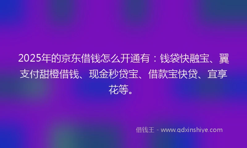 2025年的京东借钱怎么开通有：钱袋快融宝、翼支付甜橙借钱、现金秒贷宝、借款宝快贷、宜享花等。