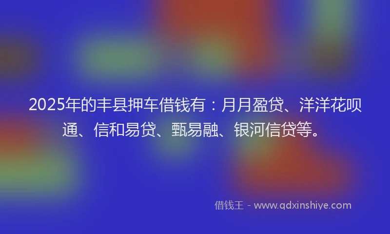 2025年的丰县押车借钱有：月月盈贷、洋洋花呗通、信和易贷、甄易融、银河信贷等。