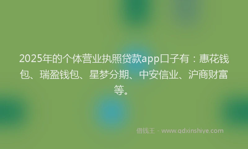 2025年的个体营业执照贷款app口子有：惠花钱包、瑞盈钱包、星梦分期、中安信业、沪商财富等。