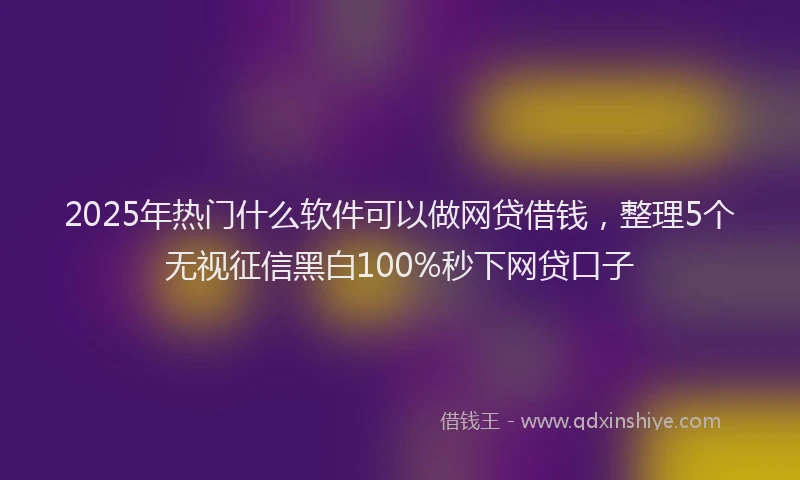 2025年热门什么软件可以做网贷借钱，整理5个无视征信黑白100%秒下网贷口子