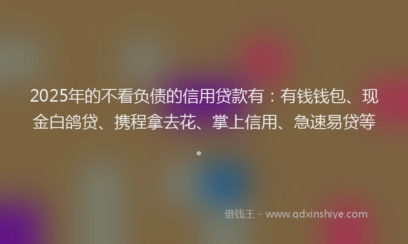 2025年的不看负债的信用贷款有：有钱钱包、现金白鸽贷、携程拿去花、掌上信用、急速易贷等。