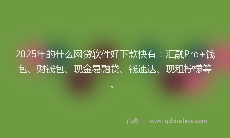 2025年的什么网贷软件好下款快有：汇融Pro+钱包、财钱包、现金易融贷、钱速达、现租柠檬等。