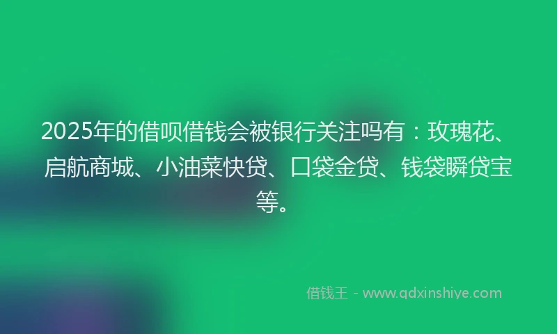 2025年的借呗借钱会被银行关注吗有：玫瑰花、启航商城、小油菜快贷、口袋金贷、钱袋瞬贷宝等。