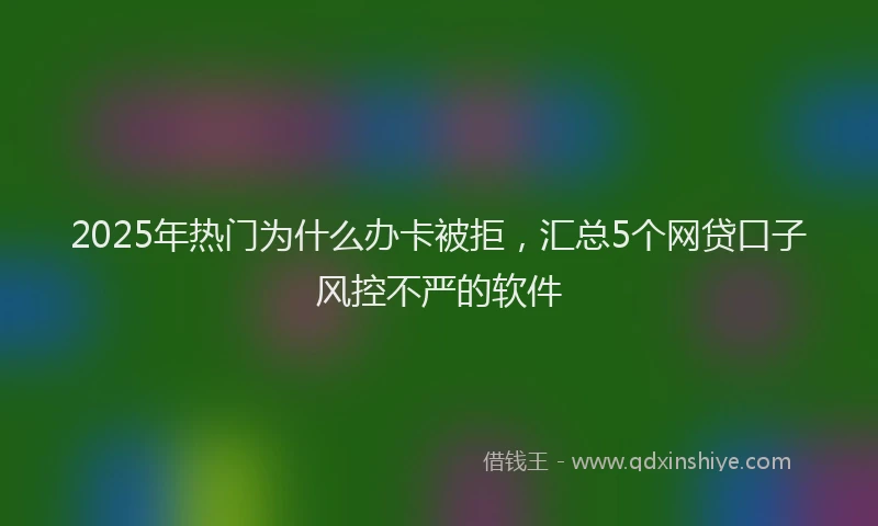 2025年热门为什么办卡被拒，汇总5个网贷口子风控不严的软件