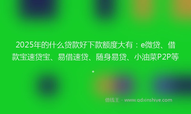 2025年的什么贷款好下款额度大有：e微贷、借款宝速贷宝、易借速贷、随身易贷、小油菜P2P等。