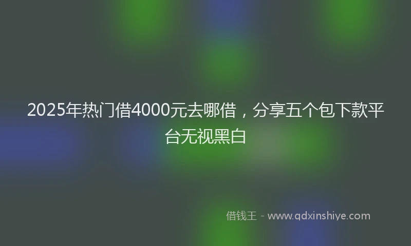 2025年热门借4000元去哪借，分享五个包下款平台无视黑白