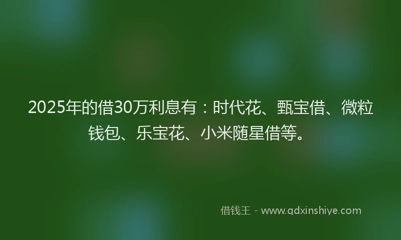 2025年的借30万利息有：时代花、甄宝借、微粒钱包、乐宝花、小米随星借等。