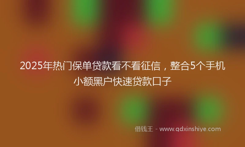 2025年热门保单贷款看不看征信，整合5个手机小额黑户快速贷款口子