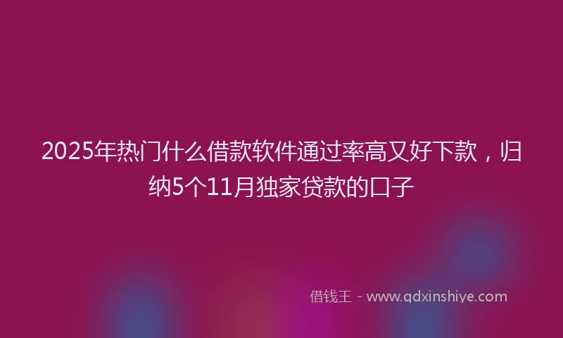 2025年热门什么借款软件通过率高又好下款，归纳5个11月独家贷款的口子