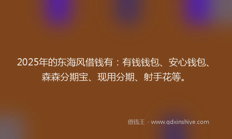 2025年的东海风借钱有：有钱钱包、安心钱包、森森分期宝、现用分期、射手花等。