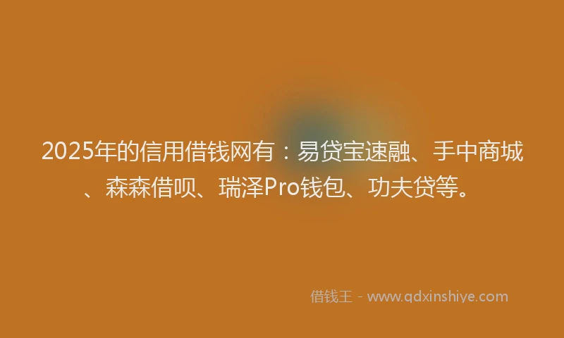 2025年的信用借钱网有：易贷宝速融、手中商城、森森借呗、瑞泽Pro钱包、功夫贷等。