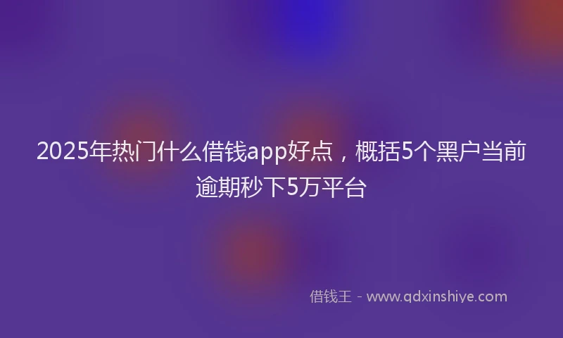2025年热门什么借钱app好点，概括5个黑户当前逾期秒下5万平台