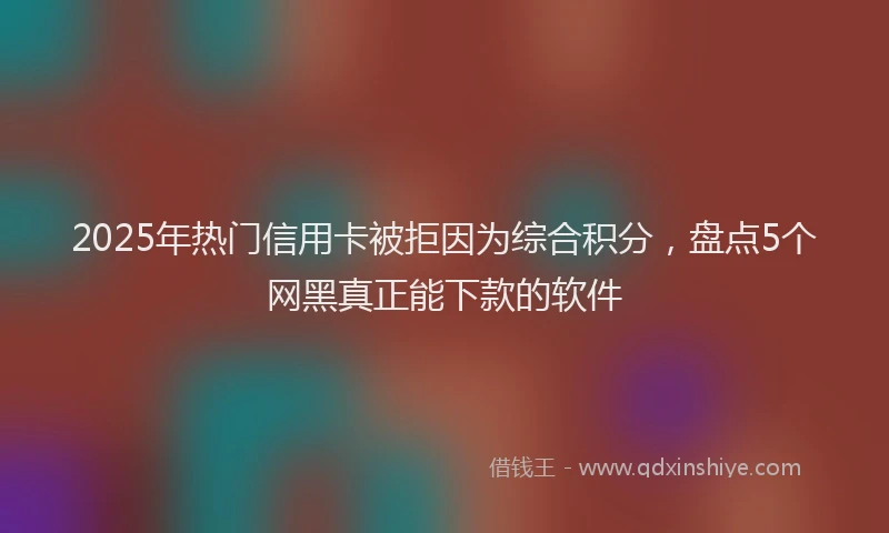 2025年热门信用卡被拒因为综合积分，盘点5个网黑真正能下款的软件