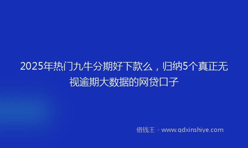 2025年热门九牛分期好下款么，归纳5个真正无视逾期大数据的网贷口子