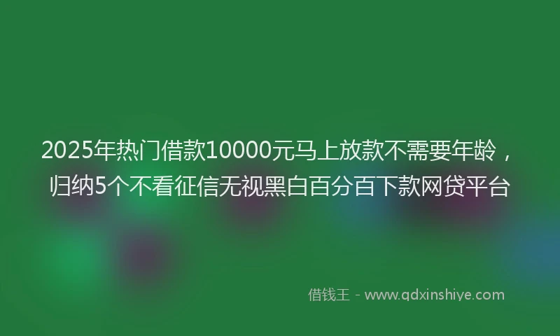 2025年热门借款10000元马上放款不需要年龄，归纳5个不看征信无视黑白百分百下款网贷平台