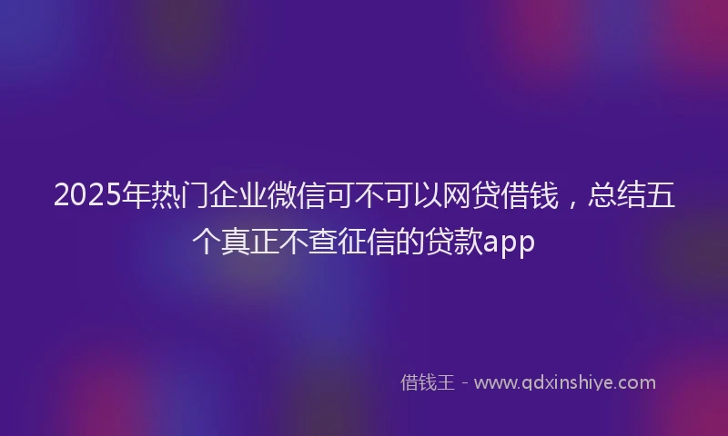 2025年热门企业微信可不可以网贷借钱，总结五个真正不查征信的贷款app