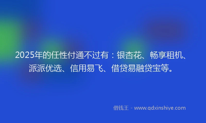 2025年的任性付通不过有：银杏花、畅享租机、派派优选、信用易飞、借贷易融贷宝等。