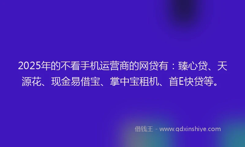 2025年的不看手机运营商的网贷有：臻心贷、天源花、现金易借宝、掌中宝租机、首E快贷等。
