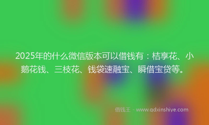 2025年的什么微信版本可以借钱有：桔享花、小鹅花钱、三枝花、钱袋速融宝、瞬借宝贷等。