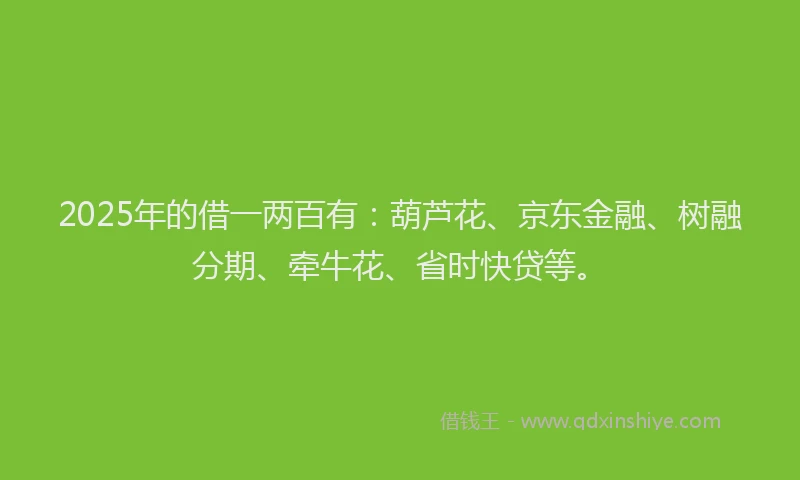 2025年的借一两百有：葫芦花、京东金融、树融分期、牵牛花、省时快贷等。