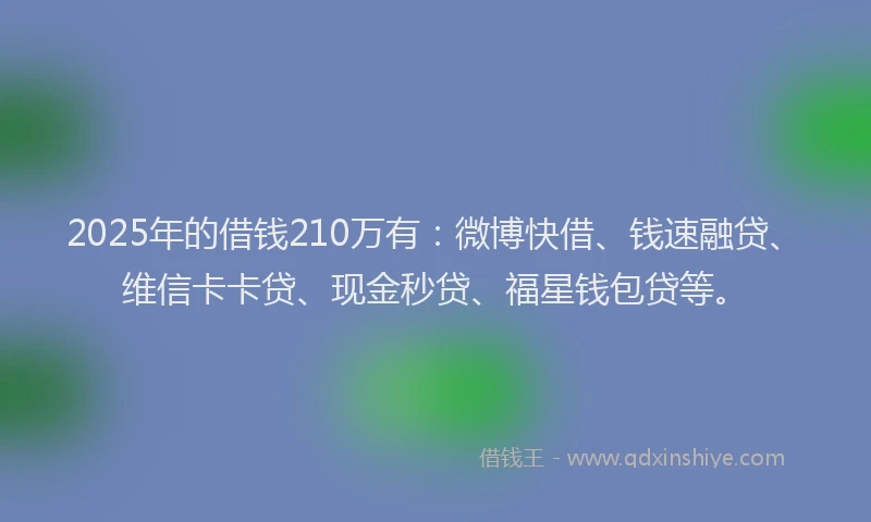 2025年的借钱210万有：微博快借、钱速融贷、维信卡卡贷、现金秒贷、福星钱包贷等。
