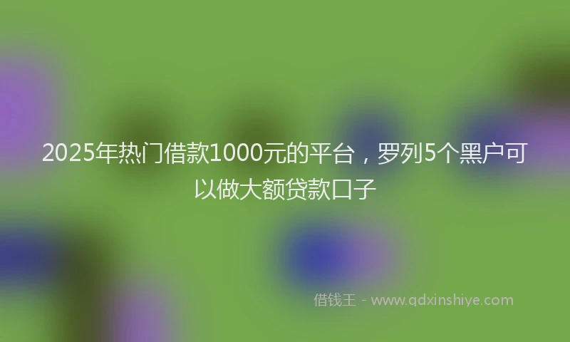 2025年热门借款1000元的平台，罗列5个黑户可以做大额贷款口子