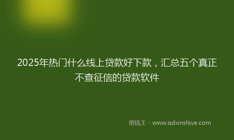 2025年热门什么线上贷款好下款，汇总五个真正不查征信的贷款软件