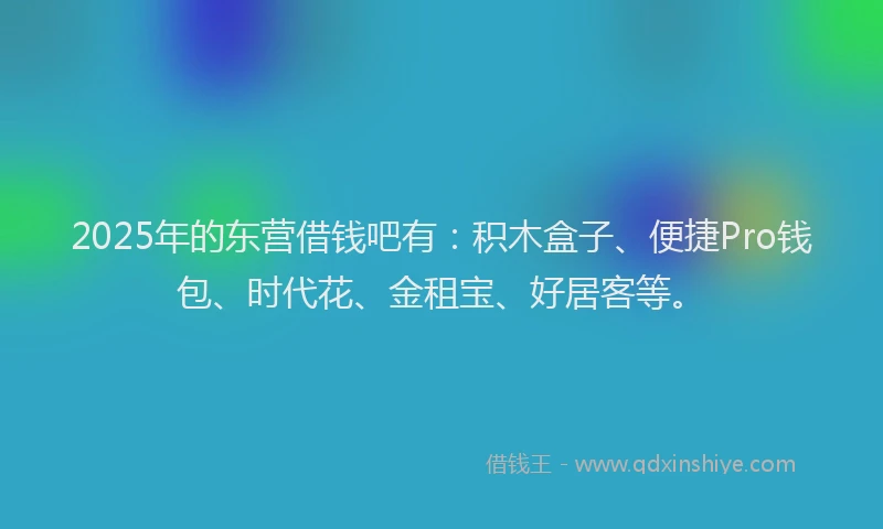 2025年的东营借钱吧有：积木盒子、便捷Pro钱包、时代花、金租宝、好居客等。
