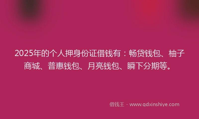 2025年的个人押身份证借钱有：畅贷钱包、柚子商城、普惠钱包、月亮钱包、瞬下分期等。