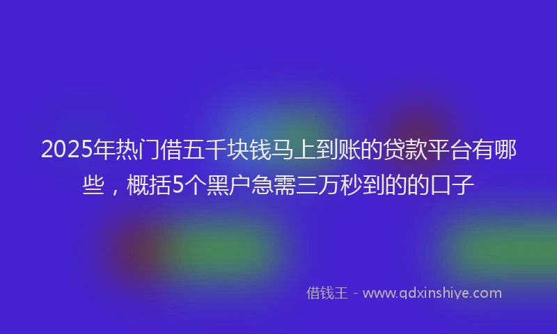 2025年热门借五千块钱马上到账的贷款平台有哪些，概括5个黑户急需三万秒到的的口子