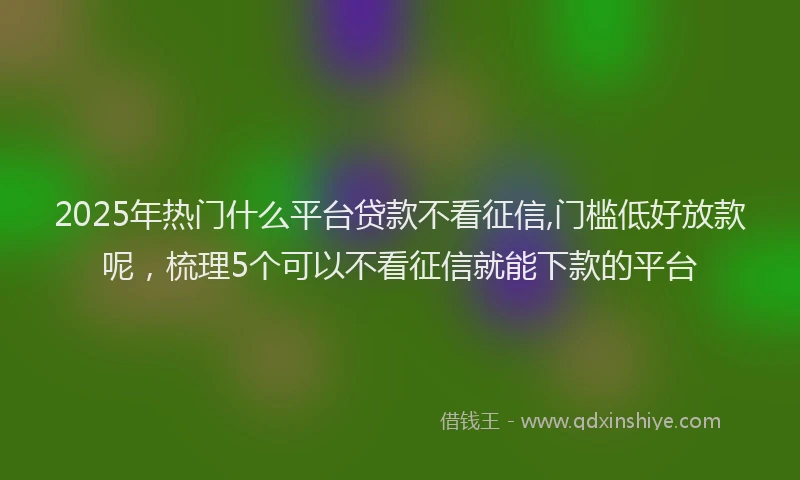 2025年热门什么平台贷款不看征信,门槛低好放款呢，梳理5个可以不看征信就能下款的平台