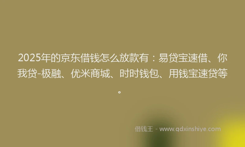 2025年的京东借钱怎么放款有：易贷宝速借、你我贷-极融、优米商城、时时钱包、用钱宝速贷等。