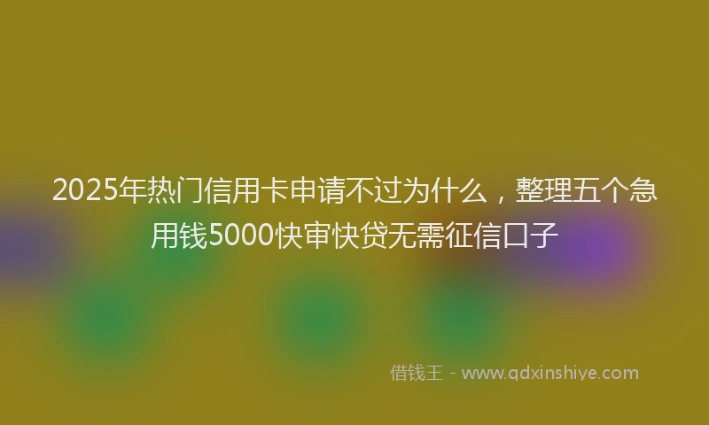2025年热门信用卡申请不过为什么，整理五个急用钱5000快审快贷无需征信口子