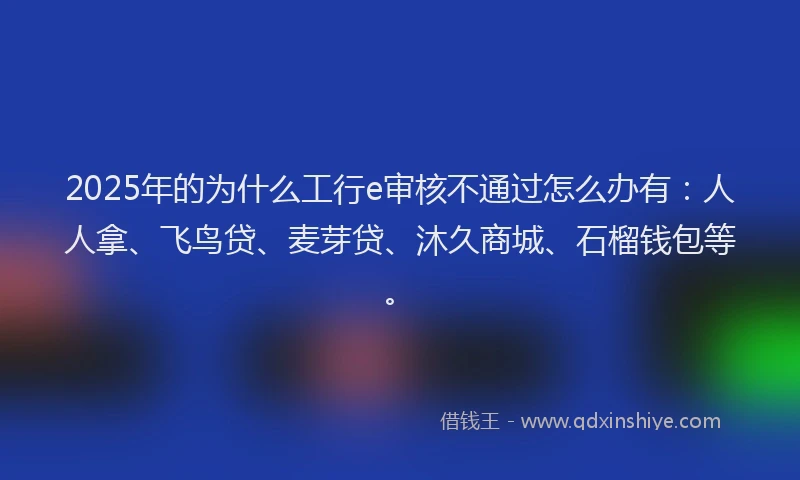2025年的为什么工行e审核不通过怎么办有：人人拿、飞鸟贷、麦芽贷、沐久商城、石榴钱包等。